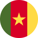 Cameroon National Flag Free Open-Source SVG Icon