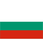 Bangladesh Flag Free Open-Source SVG Icon