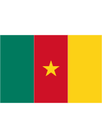 Cameroon National Flag Free Open-Source SVG Icon