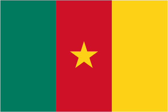 Cameroon National Flag Free Open-Source SVG Icon (CoreUI Flags)