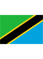 Tanzania Flag Free Open-Source SVG Icon