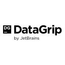 DataGrip Wordmark Free Open-Source SVG Icon