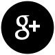 Google Logo with Circle Free Open-Source SVG Icon