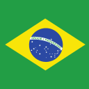 Brazil Flag 1x1 (Flag) Free Open-Source SVG Icon