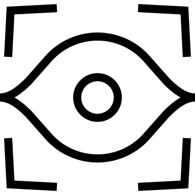 Iris Scan Authentication Free Open-Source SVG Icon (Guidance)