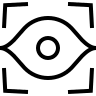 Iris Scan Authentication Free Open-Source SVG Icon