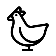 Chicken Animal (Outline) Free Open-Source SVG Icon