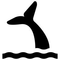 Whale Watching Activity Free Open-Source SVG Icon