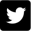 Twitter Social Media Box Free Open-Source SVG Icon