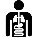 Internal Medicine Specialty Free Open-Source SVG Icon