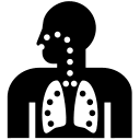 Respiratory System (Medical Icons) Free Open-Source SVG Icon