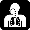 Respiratory System Free Open-Source SVG Icon