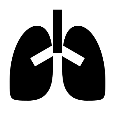 Filled Lungs (Remix) Free Open-Source SVG Icon (Remix Icon)