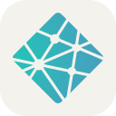 Netlify Platform (Light) Free Open-Source SVG Icon