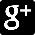 Google Plus Rectangle (Web Symbols Liga) Free Open-Source SVG Icon